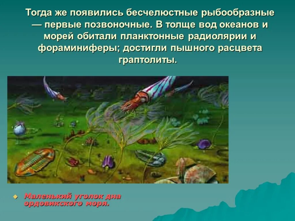 Когда появились первые позвоночные животные. Ордовик бесчелюстные. Бесчелюстные позвоночные Ордовик. Ордовикский и силурийский периоды.