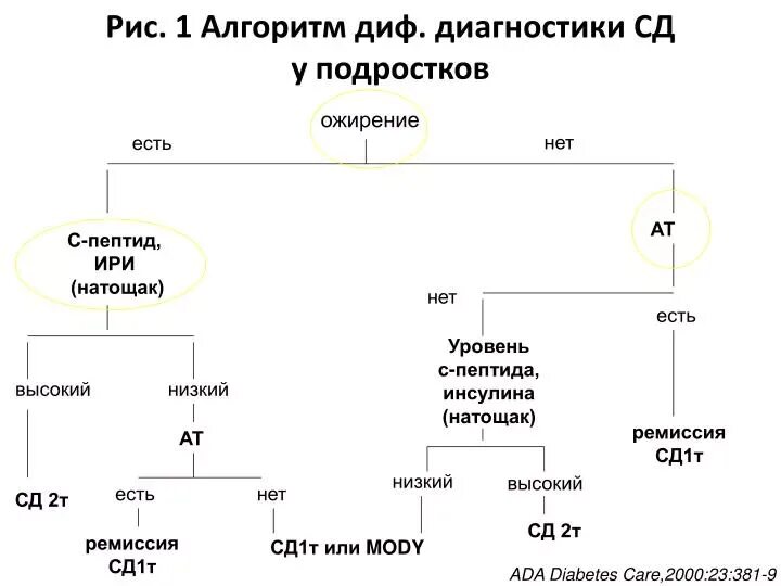 Алгоритмы сд 2022. Алгоритм диагностики СД 2. Алгоритм диагностики сахарного диабета. Fkujhbn lbfuyjcnbrb CF[fhyjuj LBF,TNF E ltntq. Алгоритм лечения СД 2 типа.