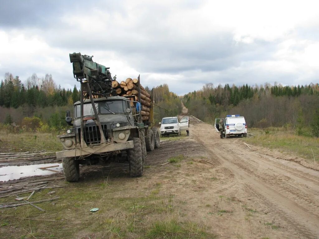 Погода зайчики вологодская область бабушкинский. П зайчики Бабушкинский район Вологодская область. Деревня зайчики Вологодской области Бабушкинского района. Бабушкинский район Вологодская область. Зайчик деревня.