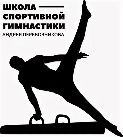 Школа спортивной гимнастики андрея перевозникова