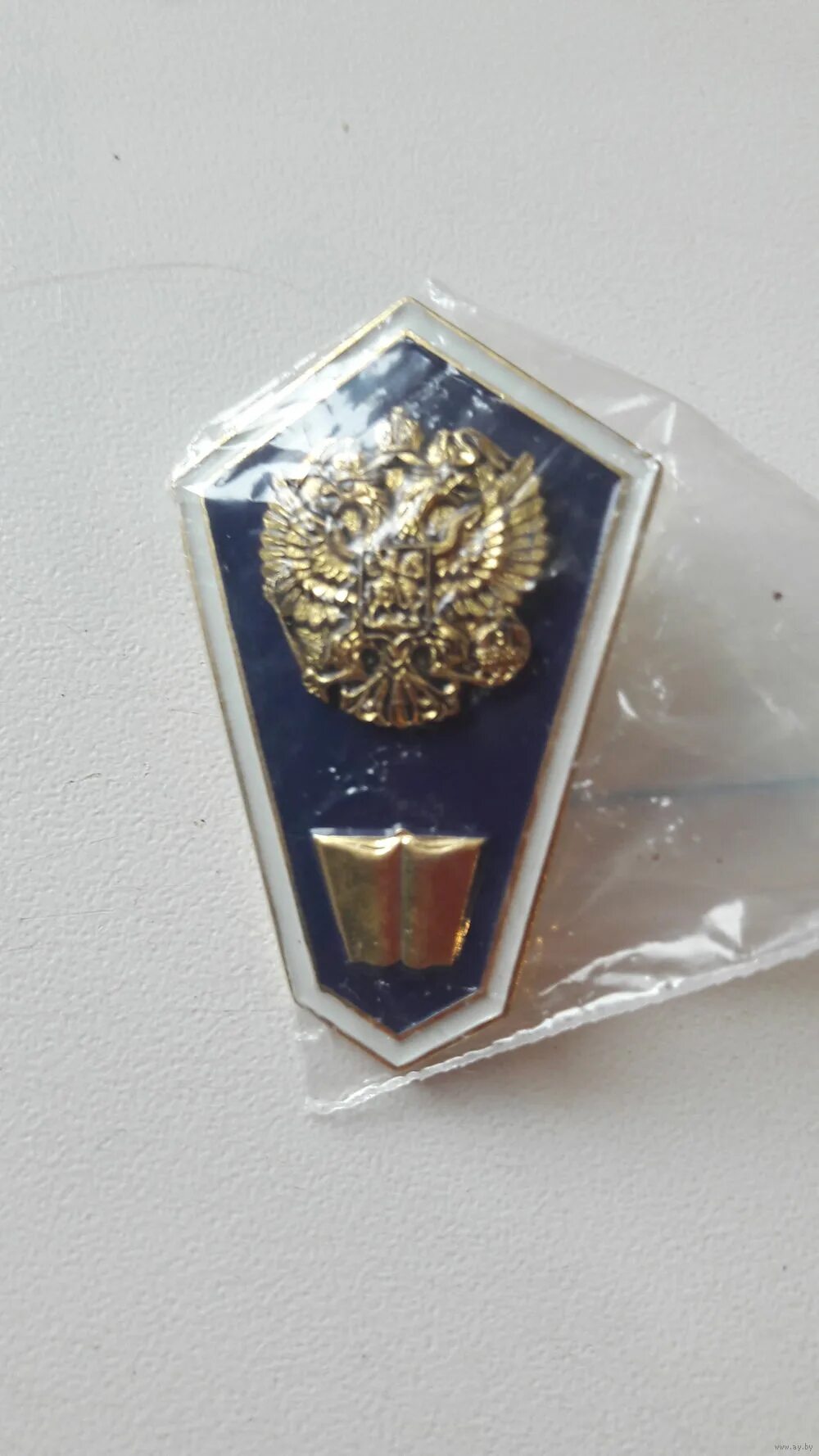 Значок высшего технического образования фсин. Методическая работа в спо. Социально-экономические дисциплины это. Значок среднее юридическое образование. Методическая работа в спо.