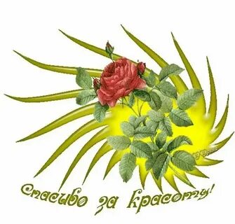 Слова восхищения женщине своими словами