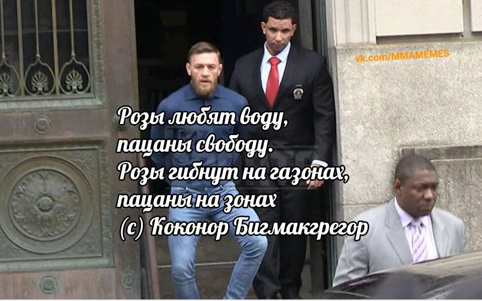 Розы гибнут. Розы гибнут на газонах а пацаны на зонах. Розы гибнут на газонах а пацаны на зонах цитаты. Розы а пацаны на газонах пацаны. Розы вянут на газонах пацаны.