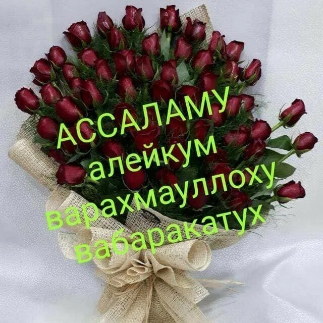 Ассаламу алейкум баракату. Саляму алейкум. Ассаламу алейкум цветы. Ассаламу алейкум фото. Хайрли Тонг.