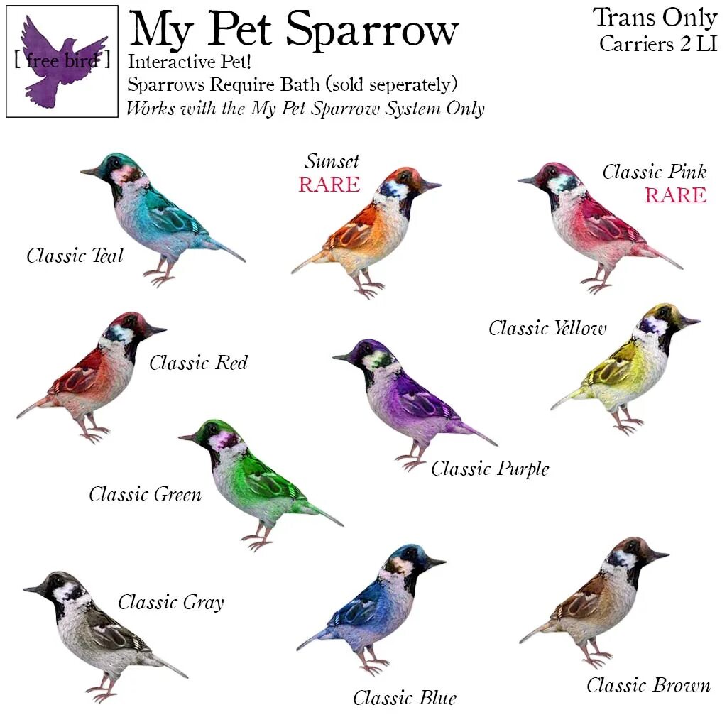 I a bird перевод. Sparrow перевод. Sparrow английский в картинках. Английская транскрипция к Sparrow. Как читается по русски Sparrow.