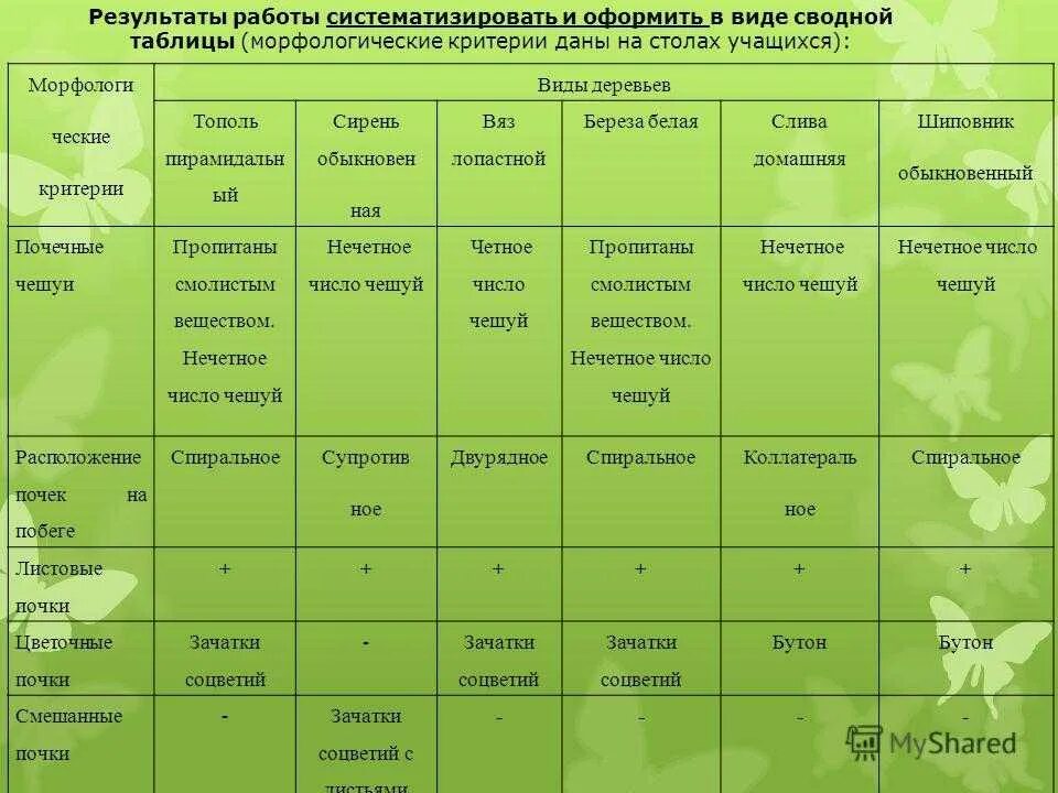 Соотнесите живые организмы с характером их. Типы растений таблица. Характеристика растений. Виды растений таблица. Морфологическая характеристика растений.