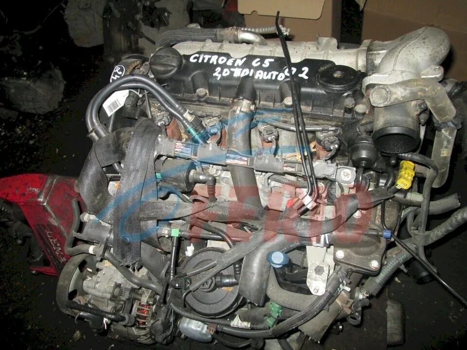 Citroen c5 2. 0 дизель. Citroen 2. 0 hdi. Двигатель citroen c5 дизель.
