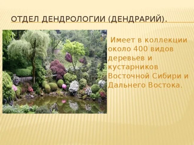 Дендрология растений. Декоративная дендрология. дендрология это наука. основы декоративной дендрологии. дендрология учебник.