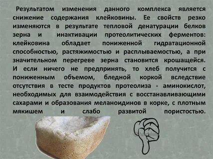 Из какого органического вещества образована клейковина