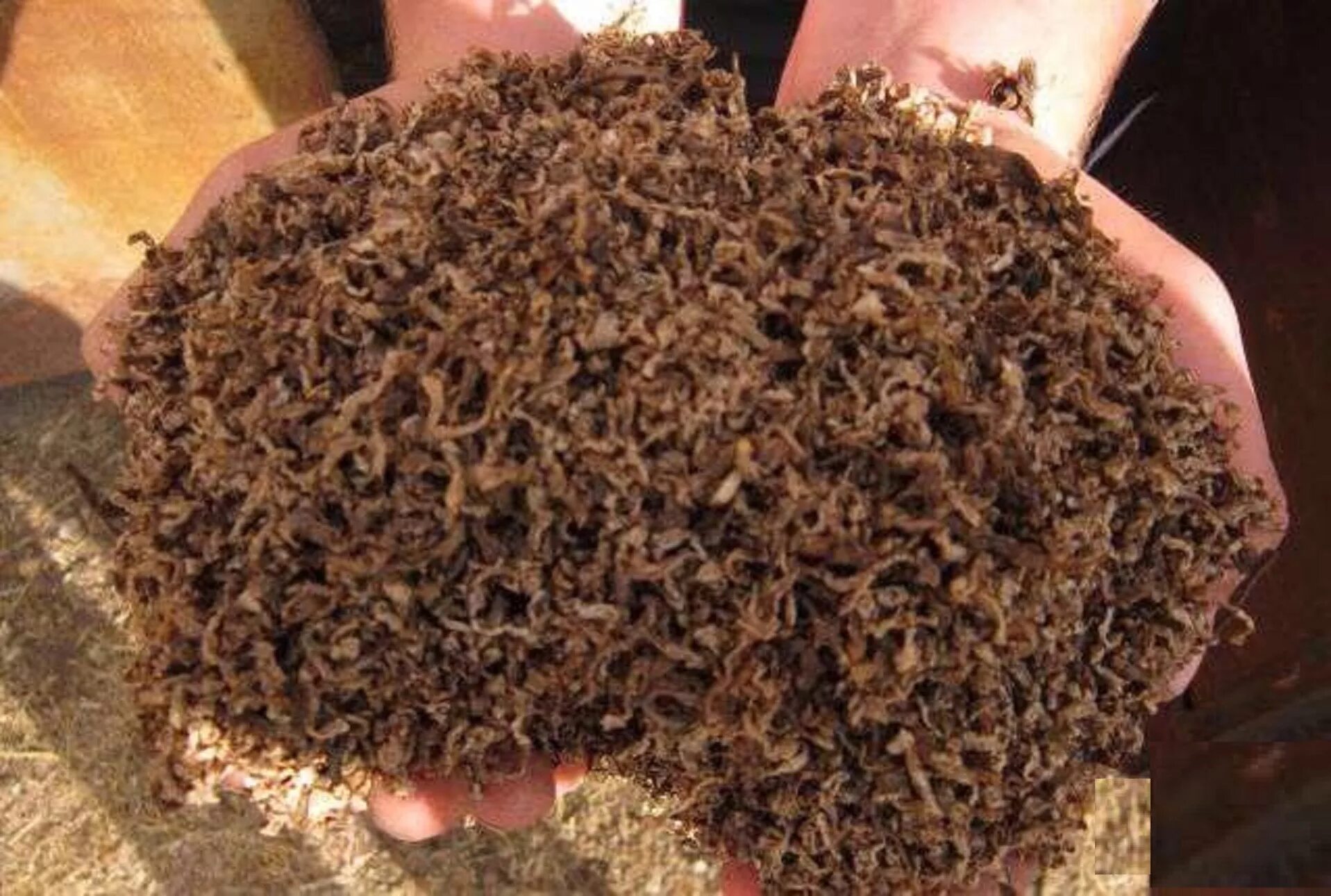 прессованный свекловичный жом. гранулированный жом сахарной свеклы. свекловичный жом в гранулах. свекольный жом. жом свекловичный гранулированный.