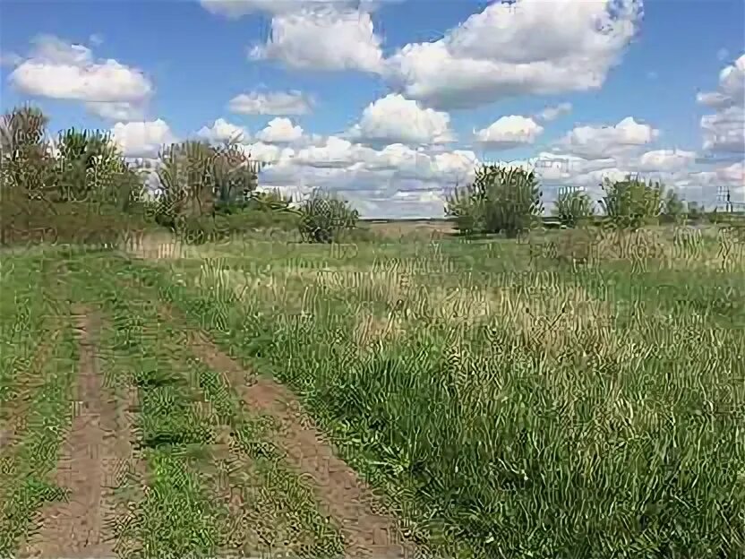 Залиман Воронежская область. Село Луговое Богучарского района Воронежской области. Залиман Богучарский район. Залиман Луганская. Погода луговое богучарский район воронежская область