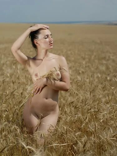 Обнаженная дивчина собирает колоски.