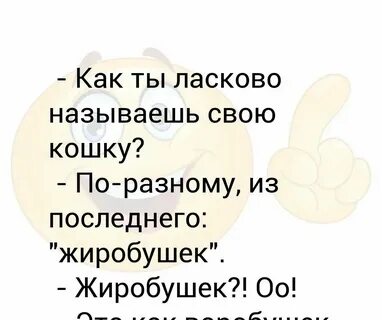 Человек любящий точность как называется