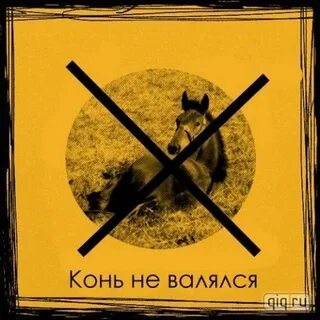 На каком коне не ездят