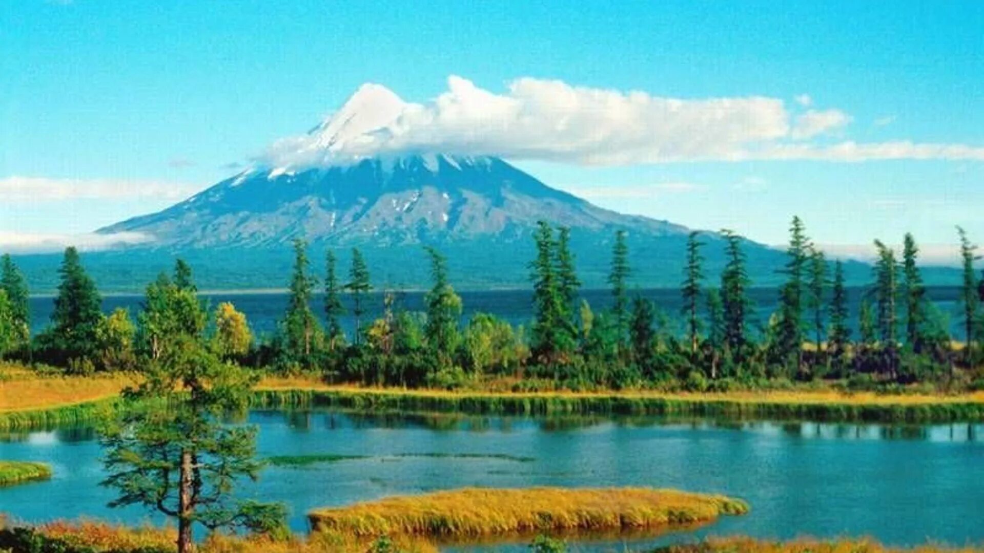 Вулкан узон дальний восток. Кроноцкий биосферный заповедник камчатка. Кроноцкий заповедник расположение. Кроноцкий заповедник вулкан узон. Кроноцкий национальный парк.