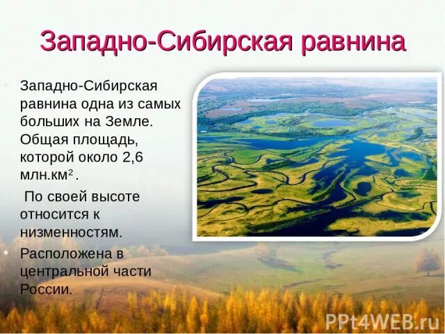 Использование западно сибирской равнины. Факты о Западно сибирской равнине. Западносибирская равнига. Западно Сибирская равнина России. Западно-Сибирская низменность высота.