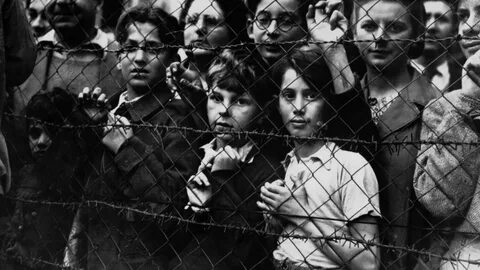 Crimes against humanity