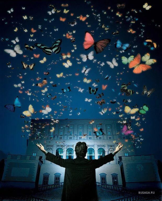 Песня чудеса нас оставили улетели. Бабочки вылетают. Человек бабочка. Человек и волшебство. Волшебство в руках.
