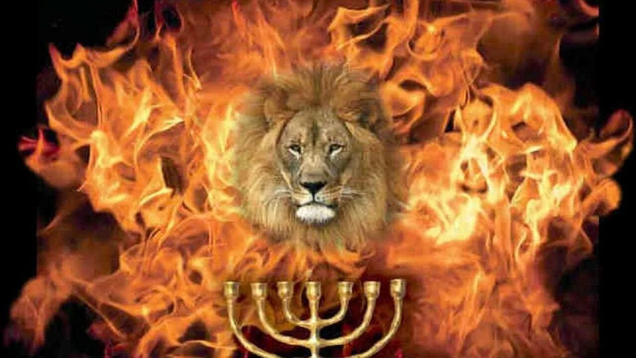 Лев иудин. Лев из колена давидова. Лев из колена давидова. Иисус лев из колена иудина. Что значит лев от колена иудина.