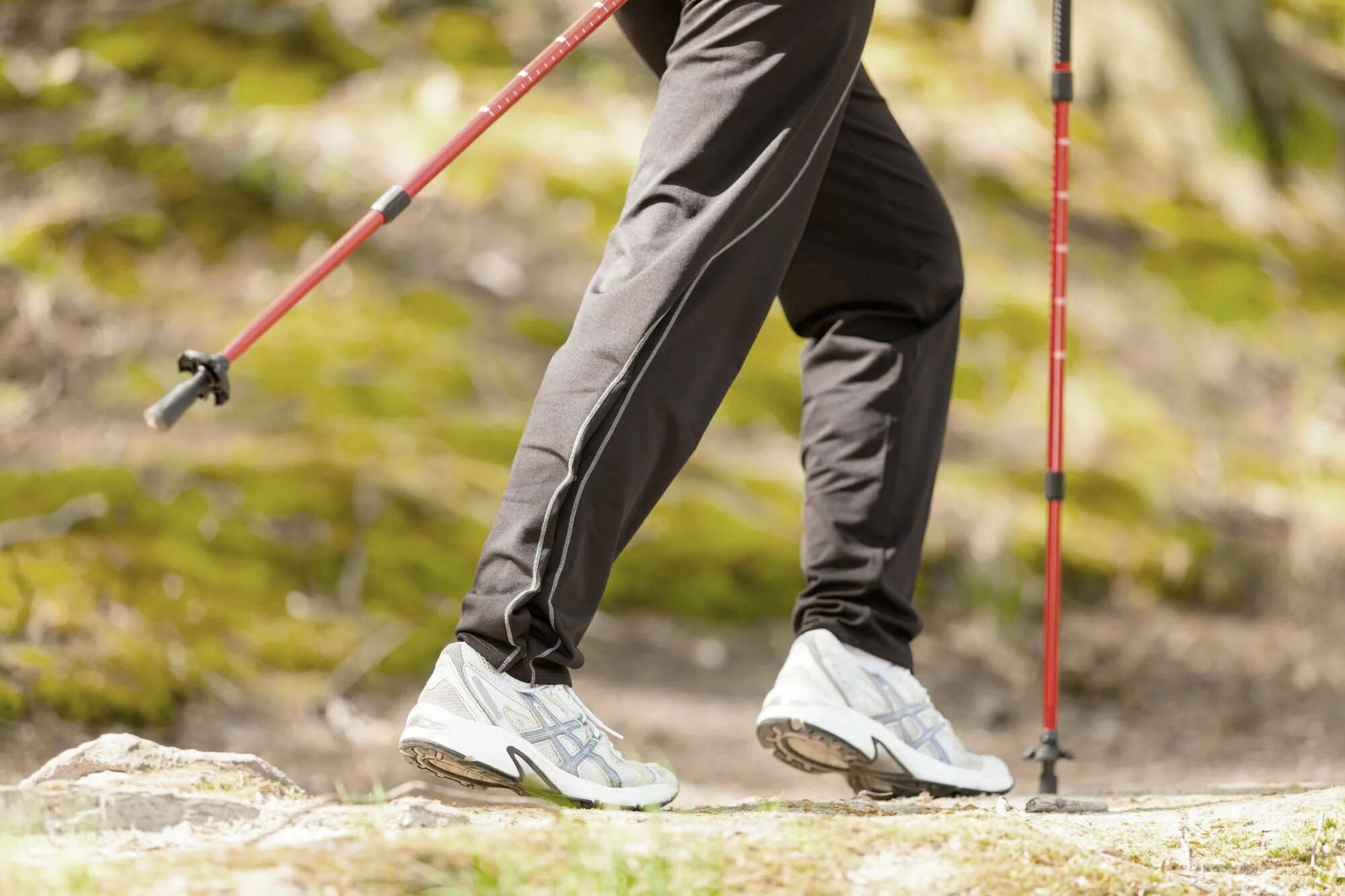 Ходьба со. Северная ходьба с палками. Методика скандинавской ходьбы для начинающих. Ходьба со. Ходьба со.