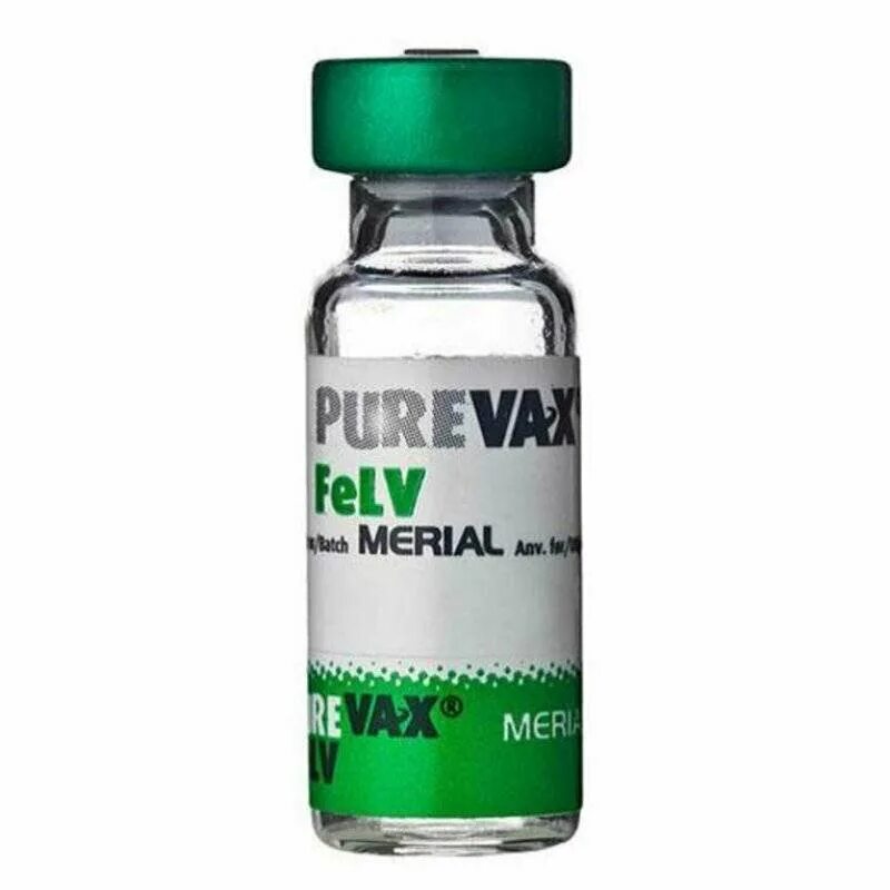 Вакцина для кошек Merial FELV Пуревакс, 1доза. Пуревакс FELV вакцина д/Кош 1доза. Пуревакс от лейкоза. Купить вакцину для кошек в москве