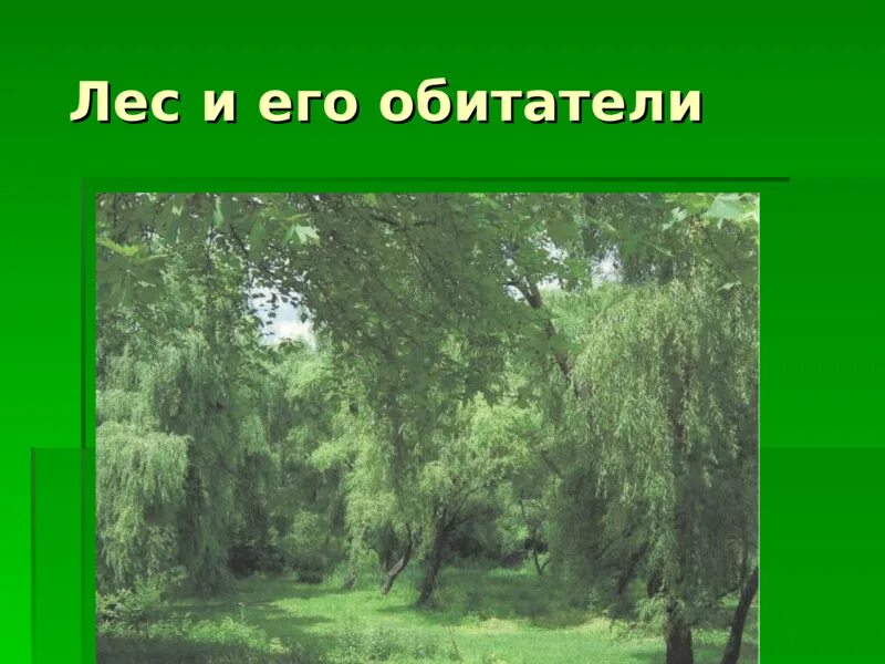 Проект 2 класс на тему лес Урок окружающего мира по теме "Лесные опасности" (Региональная составляющая данн
