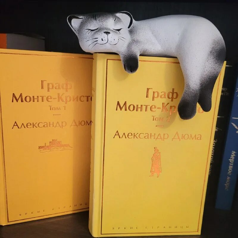 Коты за компьютером. Кот сценарист. Девять жизней фильм 2016. Принты на футболки для айтишников. Комиксы про котов кошки мышки.