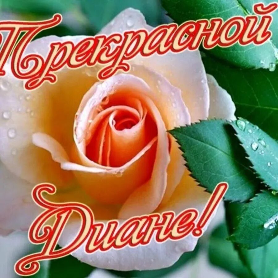 Поздравления с днём рождения диане красивые. Поздравления с днём рождения девушке. Стихотворения на день рождения диане. Поздравление с днем рождения диане своими словами. Открытка с днём рождения.