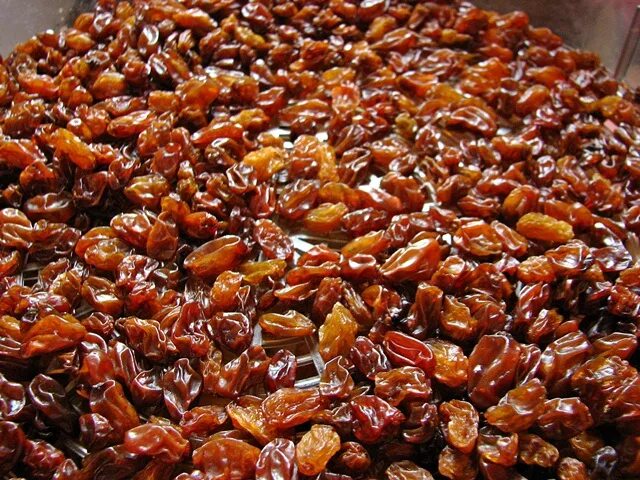 Курага солнечной сушки. Изюм без обработки. Изюм без сушилки. Изюм из винограда. Как правильно сделать изюм.