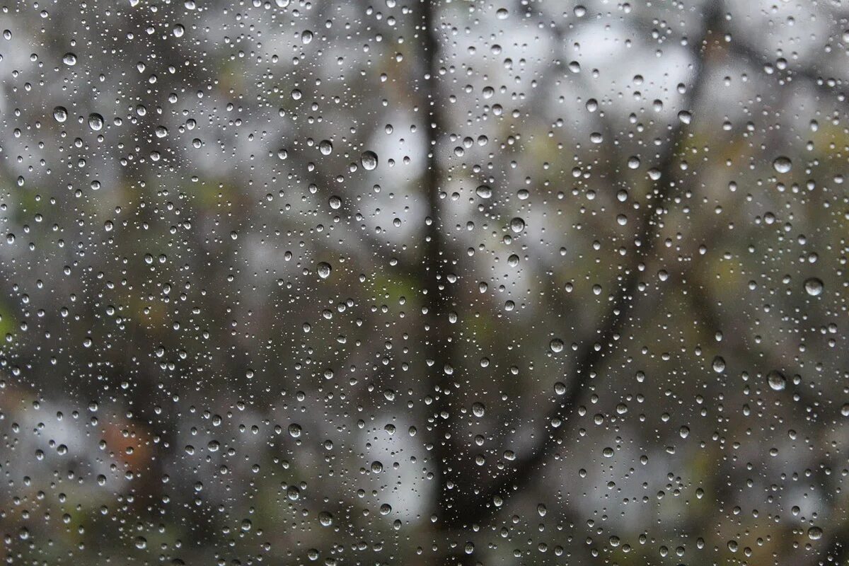 Осень дождь. Дождливый день. Пасмурный дождливый день.