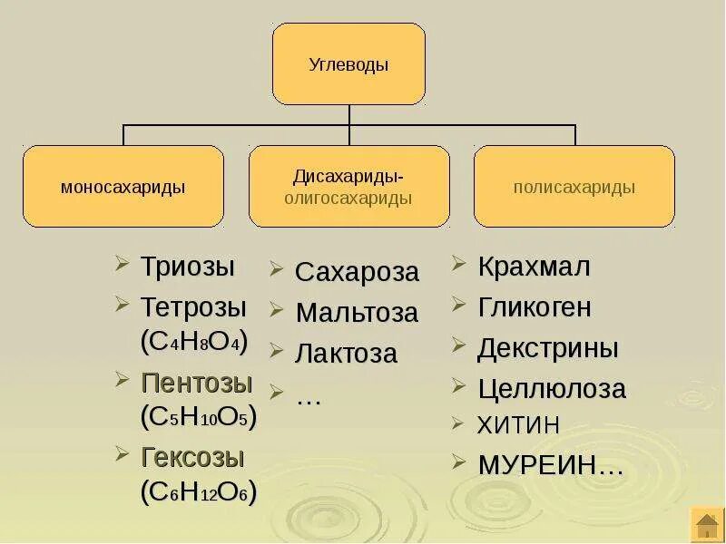 Химический состав клетки. - скачать презентацию