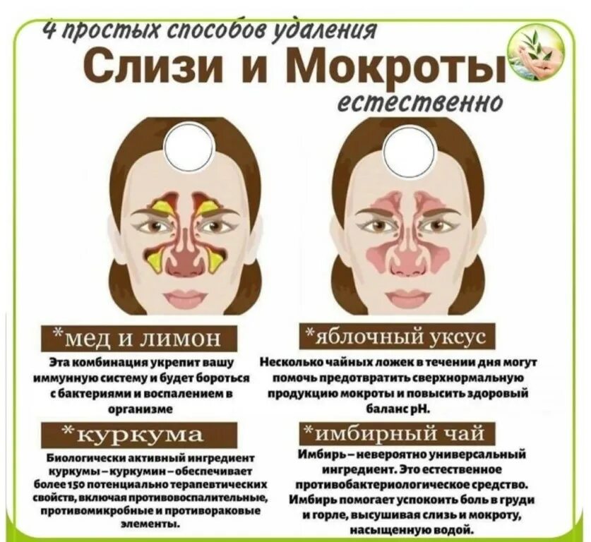 Убрать мокроту в домашних условиях. Методы удаления мокроты. Способ вызвать сопли.