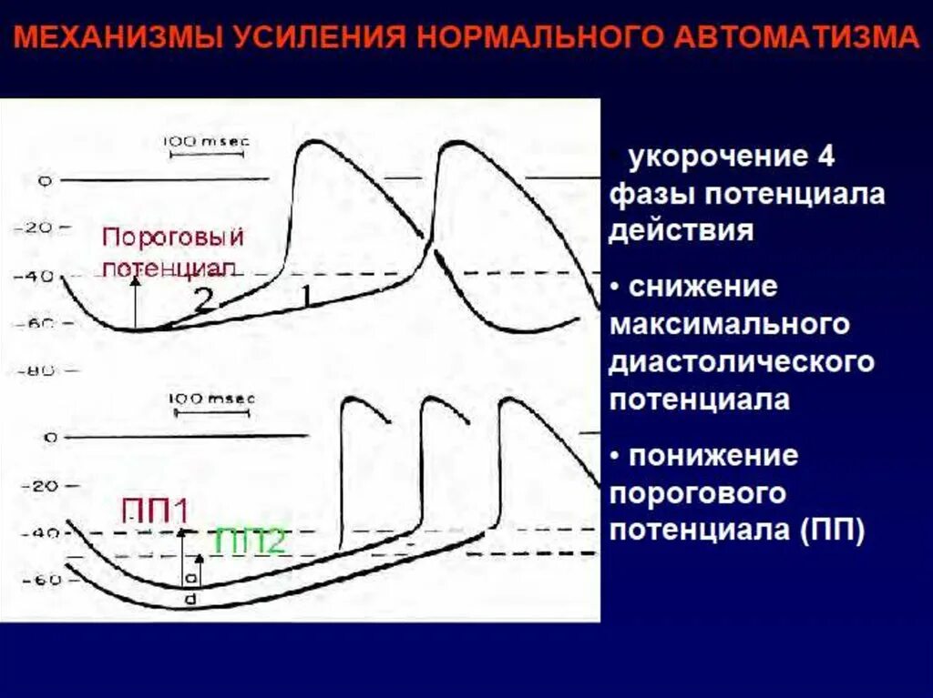 Параметры убежищ iv класса защиты от ударной волны. Сокращение мышц. Фазы одиночного сокращения мышцы. Мощность мышечного сокращения. Правила заполнения убежища.