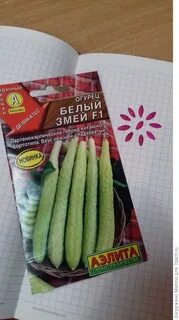 Огурцы нежные