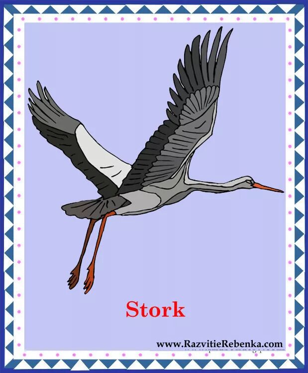 Среда обитания серого журавля. Журавль на английском. Внутреннее строение журавля. Серый журавль в калмыкии. Журавль описание.