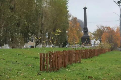 Аллея архангельск