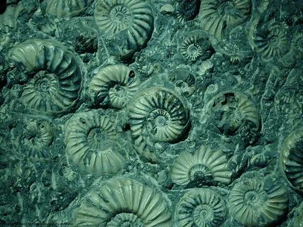 Natural forms