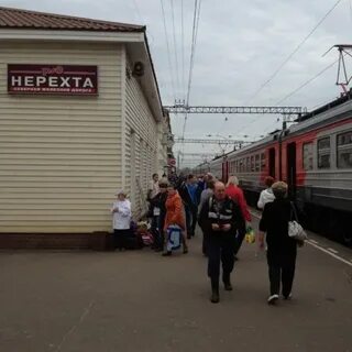 Электричка нерехта