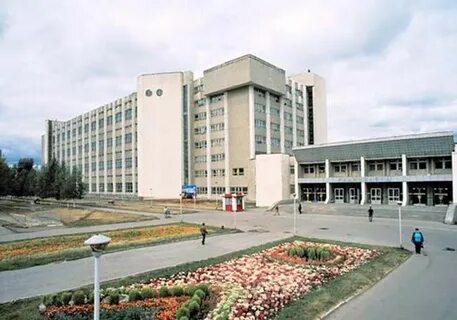 Ирз ринкос