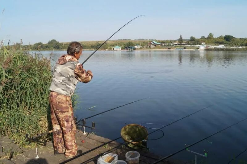 Красный кут курская область