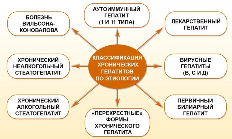 Цирроз печени причины возникновения. Факторы развития цирроза печени. Этиология и причины цирроза печени. Основные причины развития цирроза печени.