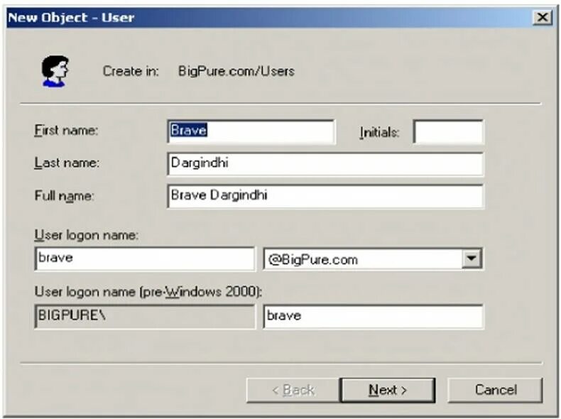 Как изменить имя объекта в виалоне. Active directory на пк что это. Ad создание пользователей. Users public documents. C users public documents где.