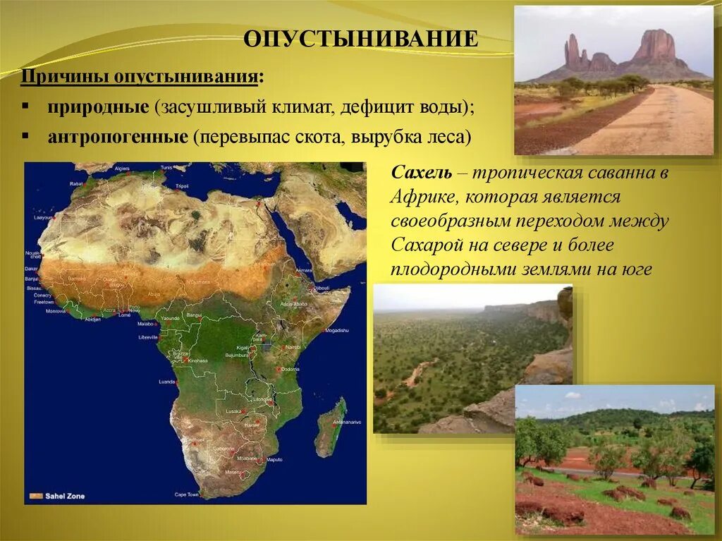 Почему опустынивание является глобальной проблемой