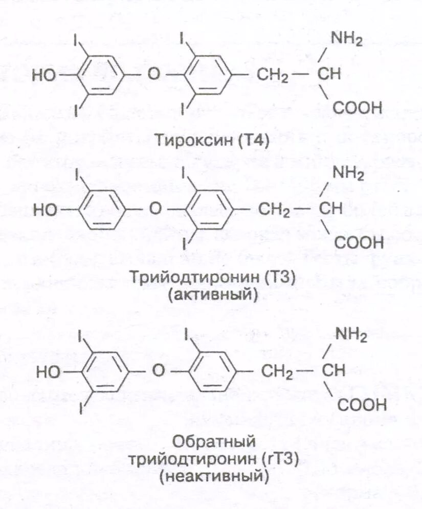 Химическая структура тироксина и трийодтиронина. Структура тироксина и трийодтиронина. Тироксин химическая структура. Строение тироксина и трийодтиронина.