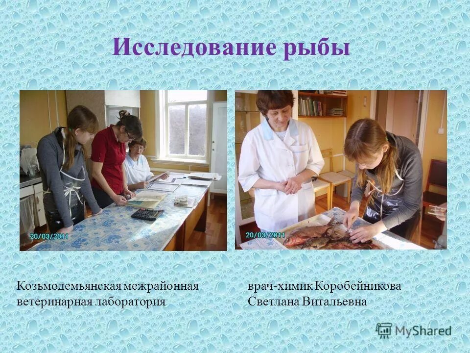 исследовательская работа рыба