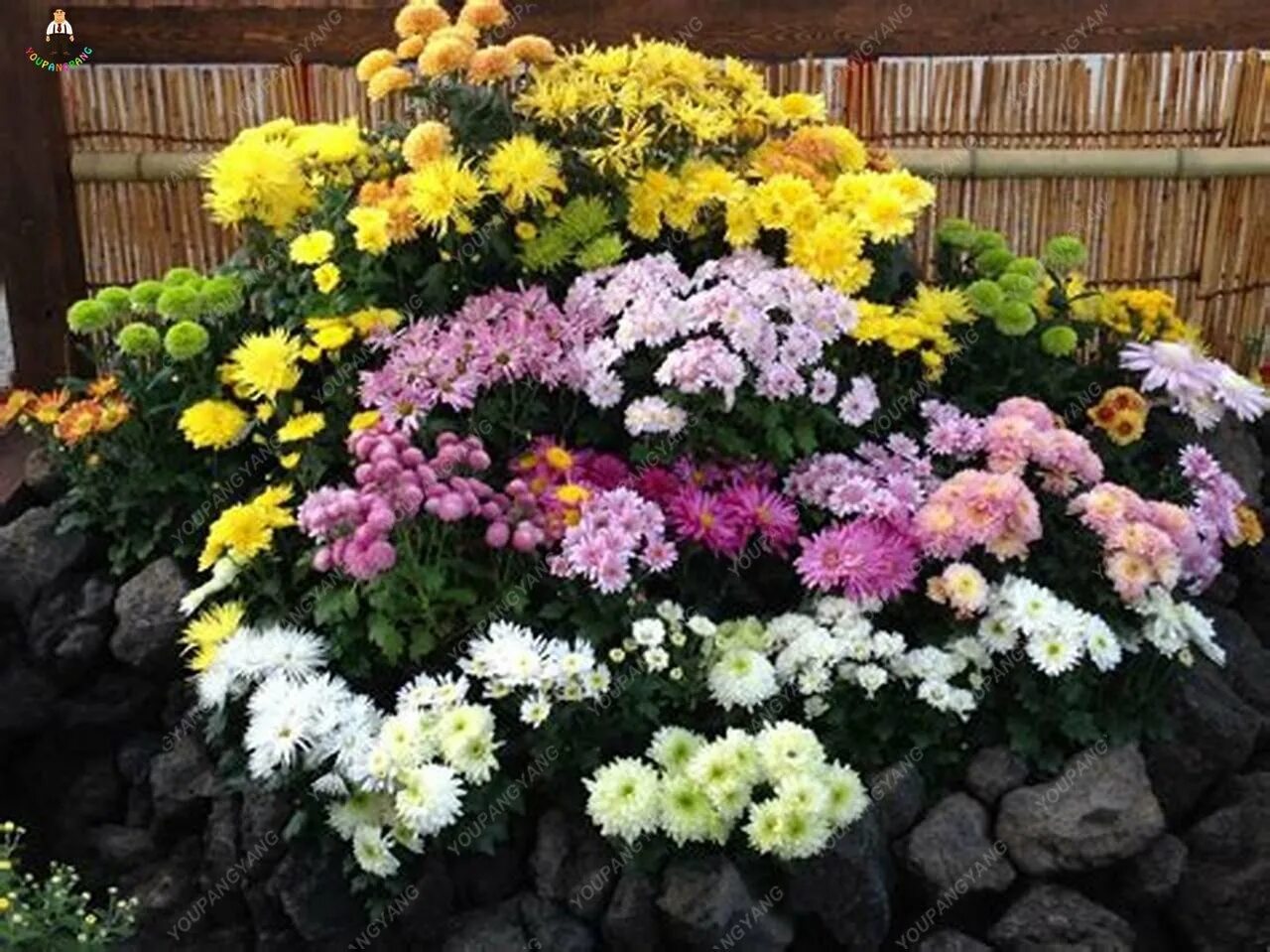 60 Fall Front Porch Decorating Ideas to Celebrate Autumn Fall landscaping, Fall 