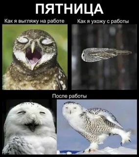 Видео пятницу с работы