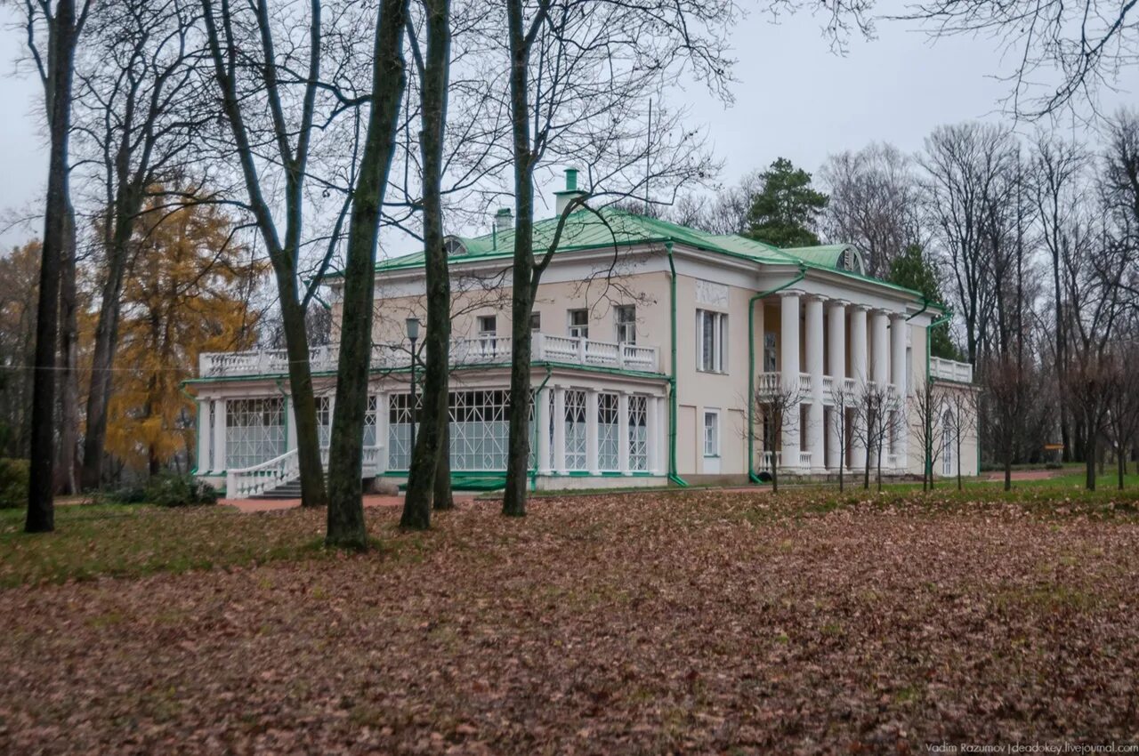 Ленинские горки московская область фото. Горки усадьба Ленина. Горки Ленинские усадьба Морозовой. Ленинские горки Московская область. Усадьба горки Тульская область.