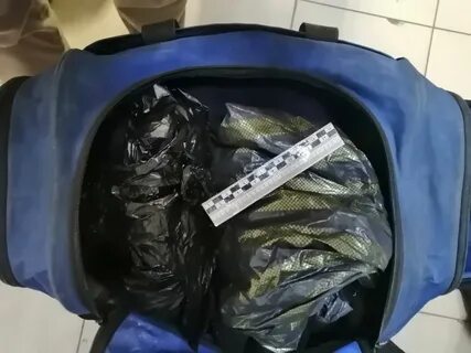 В сумке обнаружила
