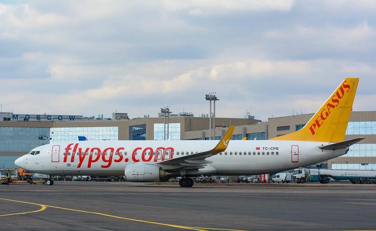 Авиакомпания Пегасус Эйрлайнс. Pegasus Airlines в Домодедово. Пегасус Эйрлайнс Домодедово. Пегасис Аирлинес. Pegasus авиакомпания сайт